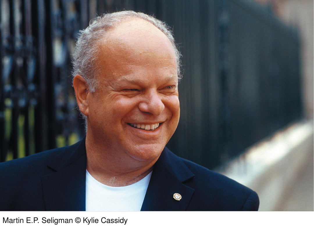 Der Glücks-Faktor | Seligman, Martin E. P.