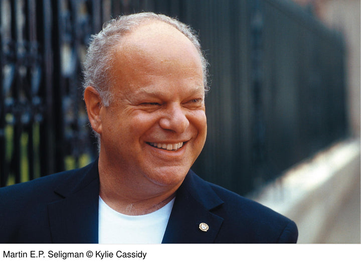 Der Glücks-Faktor | Seligman, Martin E. P.