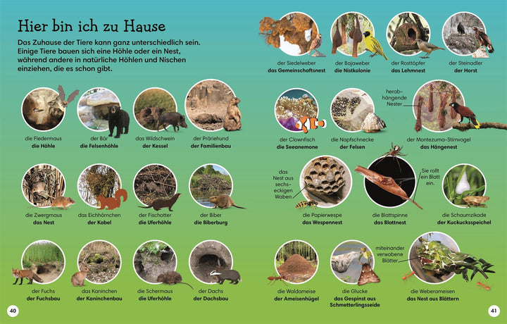 1000 erste Wörter. Tiere | Pottle, Jules