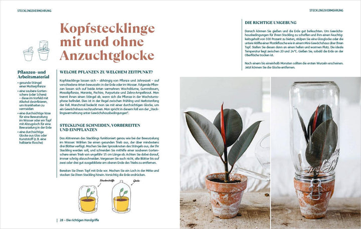 So einfach ist Pflanzenvermehrung. Die besten Methoden für 60 Nutz- und Zimm...