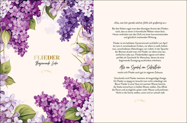 Die geheimnisvollen Botschaften der Blumen | -