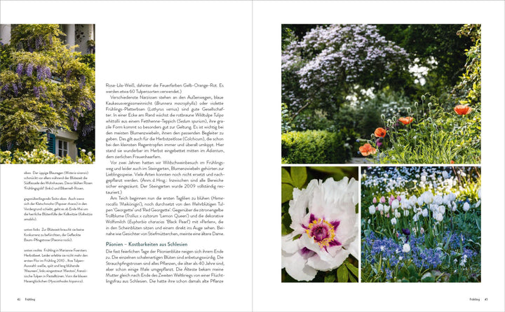 Der Garten meines Vaters Karl Foerster | Foerster, Marianne