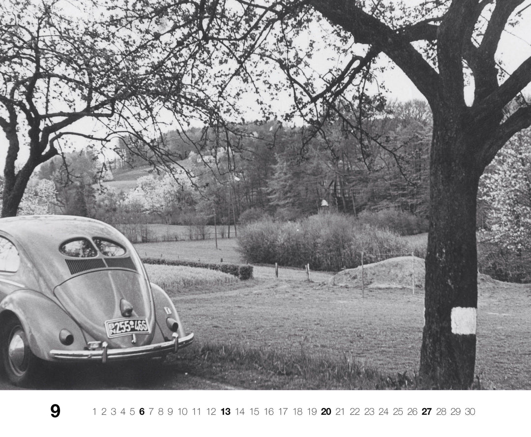 Gute Fahrt! 2026 | -