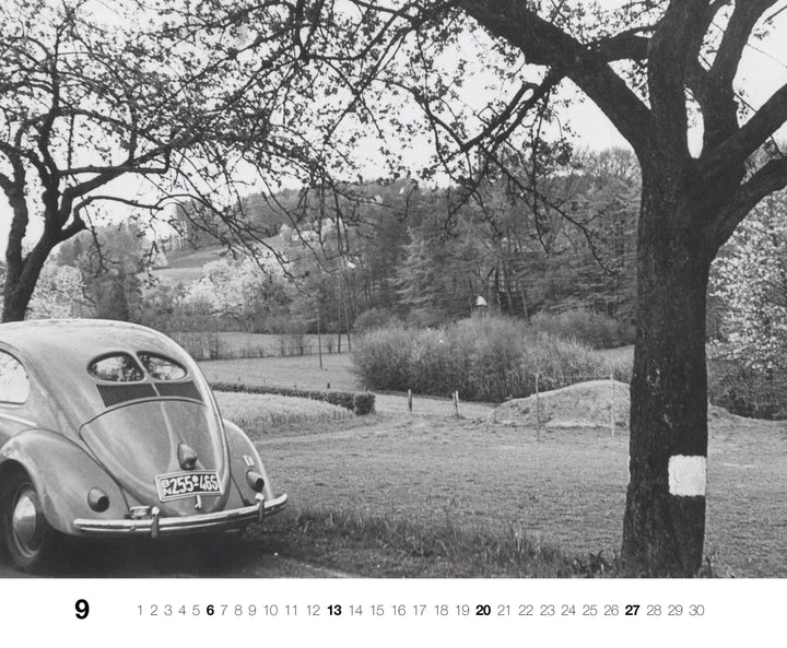 Gute Fahrt! 2026 | -