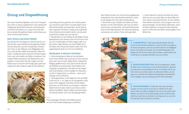 Ratten | Ludwig, Gerd