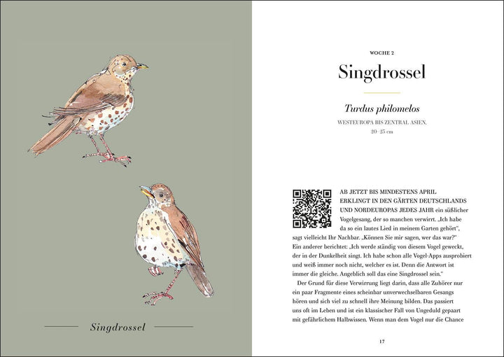 Der Gesang der Vögel | Couzens, Dominic