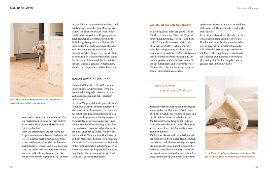 José Arces Welpenbuch | Arce, José