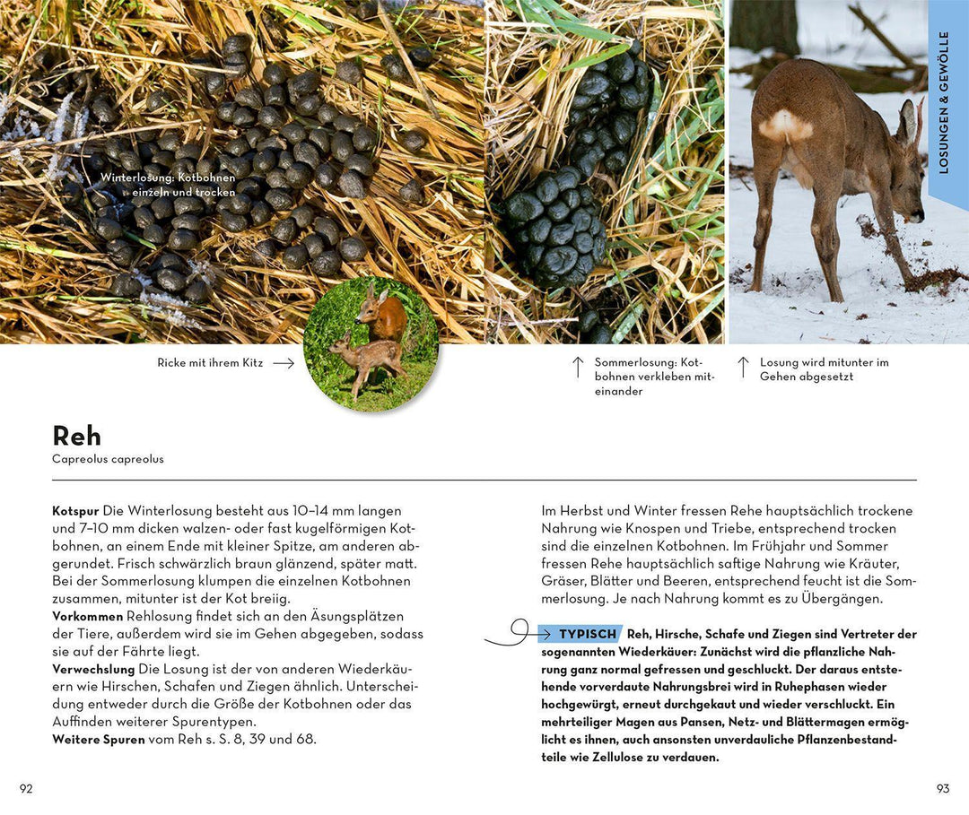 BASIC Tierspuren | Hecker, Frank