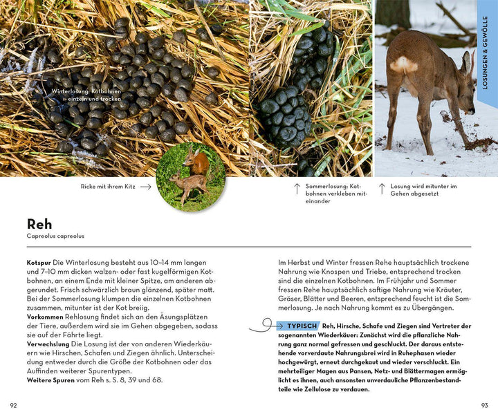 BASIC Tierspuren | Hecker, Frank