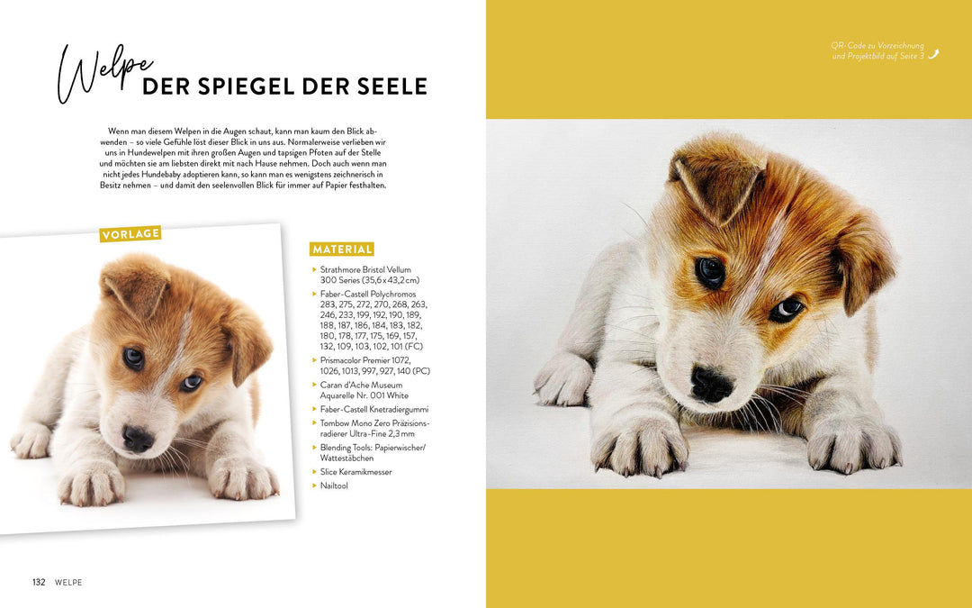 Zeichnen - Das große Buch der Tierporträts | Boehmer-Hoops, Susanne