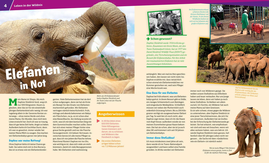 WAS IST WAS Band 13 Wilde Tiere. Ungezähmt in der Wildnis | Paxmann, Christine