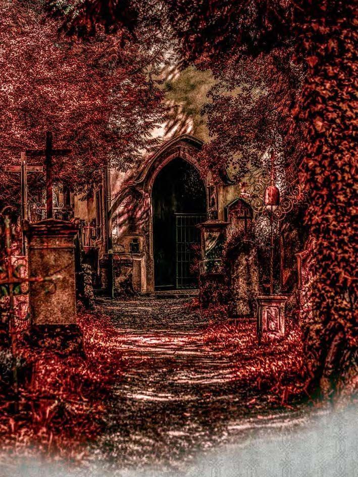 Mystisches Niederbayern | Kiesl, Gabriele | Cizek, Michael