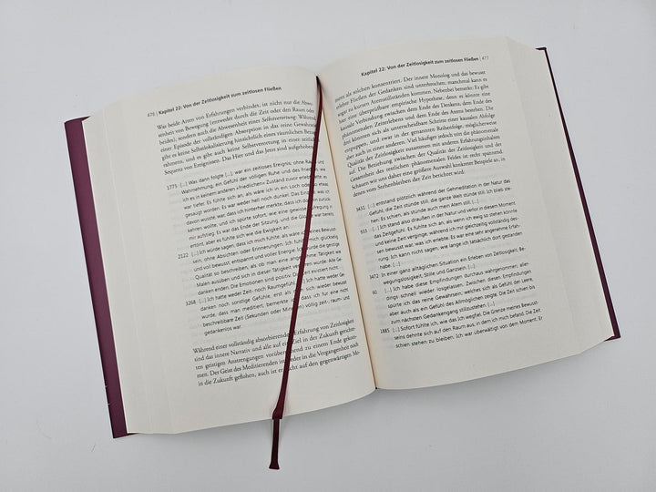 Der Elefant und die Blinden | Metzinger, Thomas