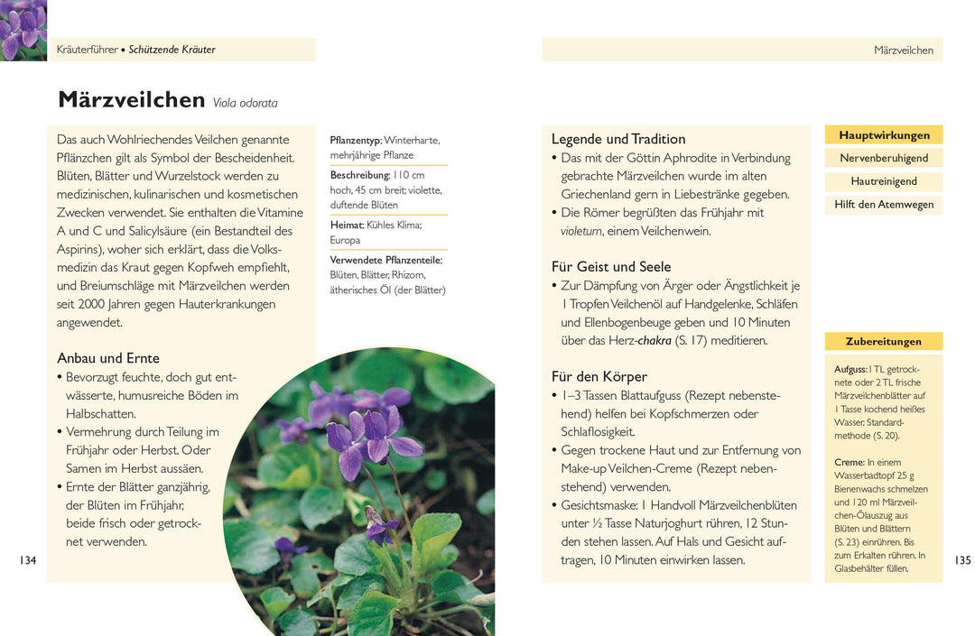 Handbuch Kräuter | Bremness, Lesley