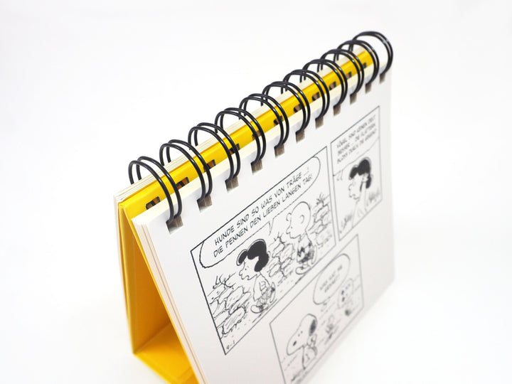 "Immer nach oben schauen ... das ist das Geheimnis des Lebens". Mit Snoopy g...