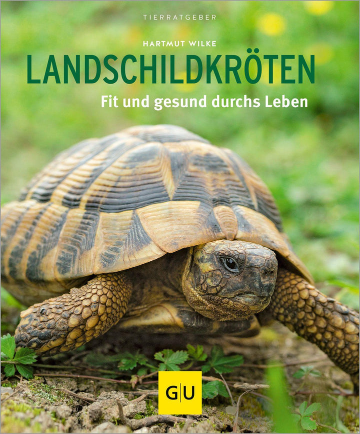 Landschildkröten | Wilke, Hartmut