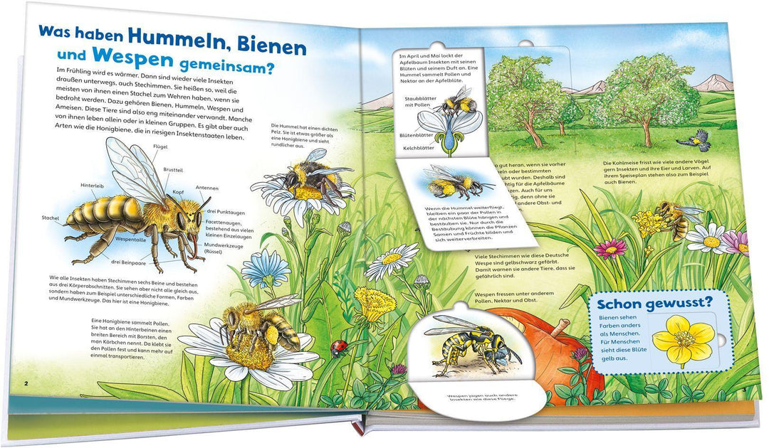 WAS IST WAS Junior Band 34 Bienen, Wespen, Hummeln | Rusche-Göllnitz, Angelika