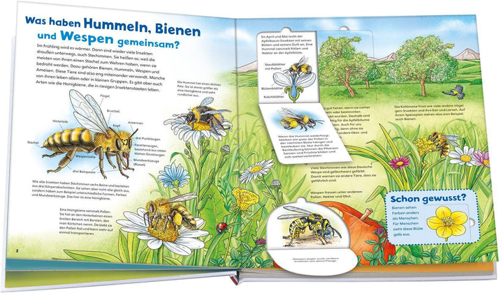 WAS IST WAS Junior Band 34 Bienen, Wespen, Hummeln | Rusche-Göllnitz, Angelika