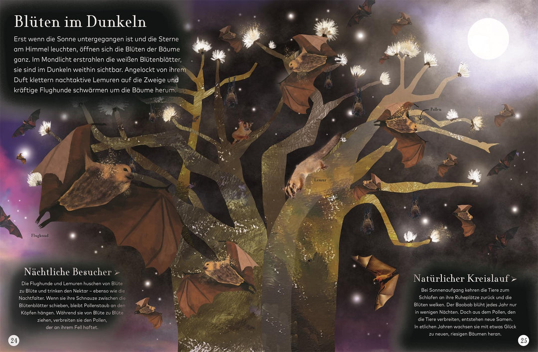 Wundervolle Reise durch die Nacht | -