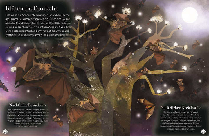 Wundervolle Reise durch die Nacht | -