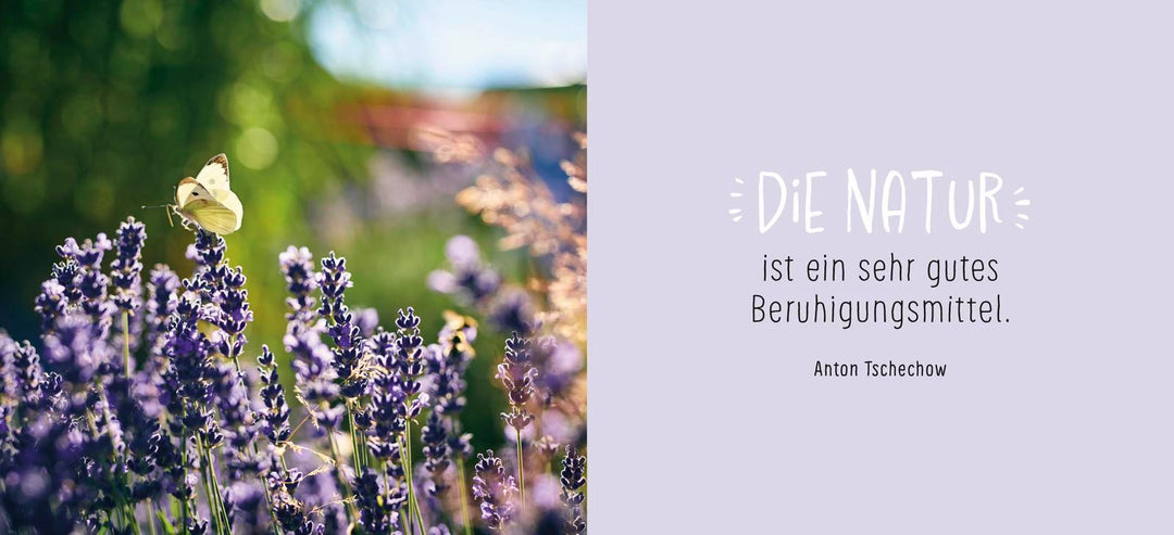 Gute Besserung | -
