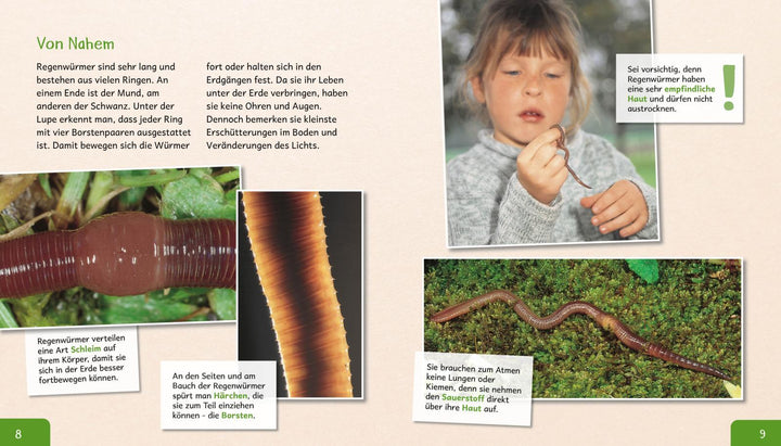 Meine große Tierbibliothek: Der Regenwurm | Tracqui, Valérie