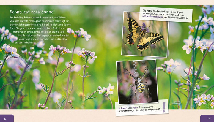 Meine große Tierbibliothek: Der Schmetterling | Tracqui, Valérie