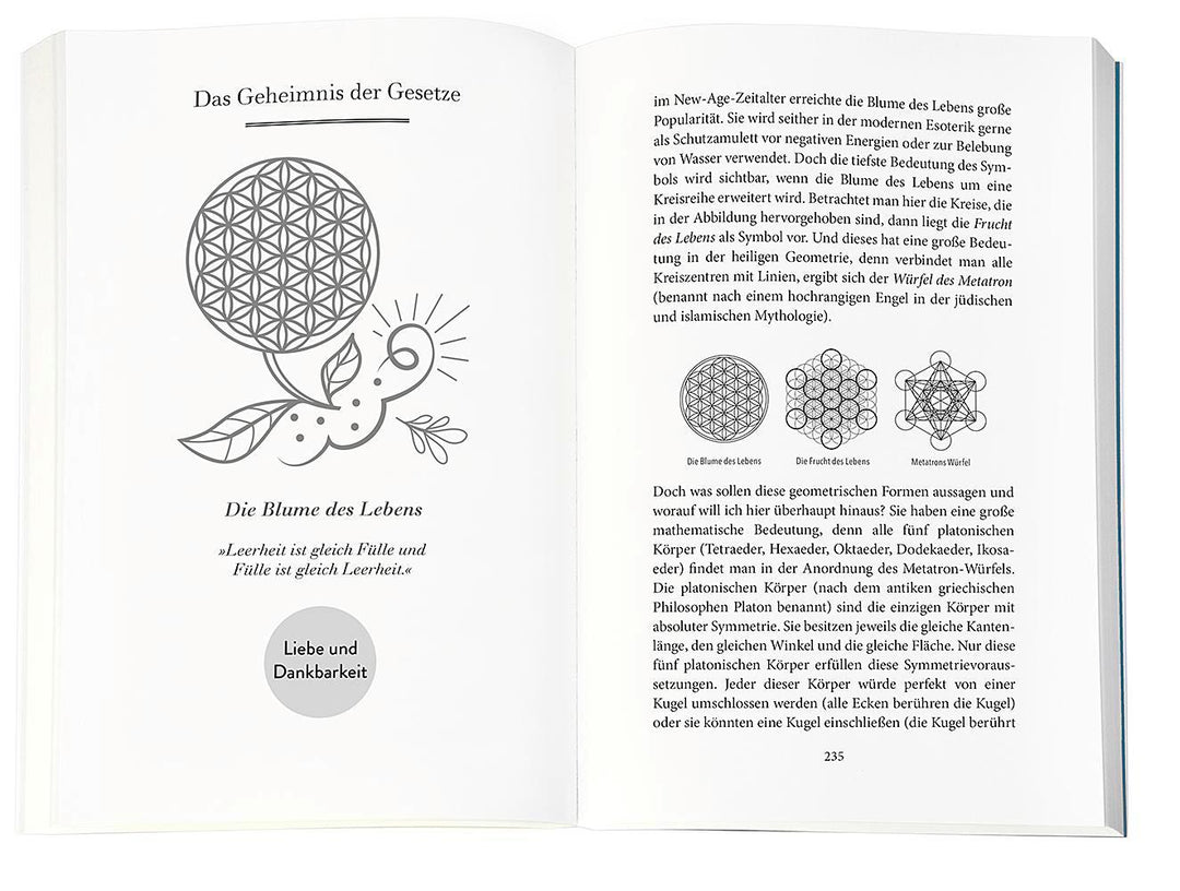 Higher Mind. Die Gesetze des Bewusstseins | Schwarz, Andreas