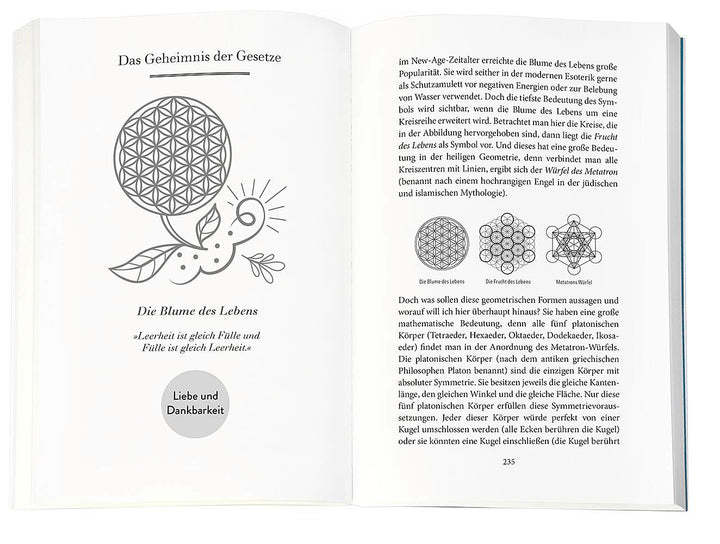 Higher Mind. Die Gesetze des Bewusstseins | Schwarz, Andreas