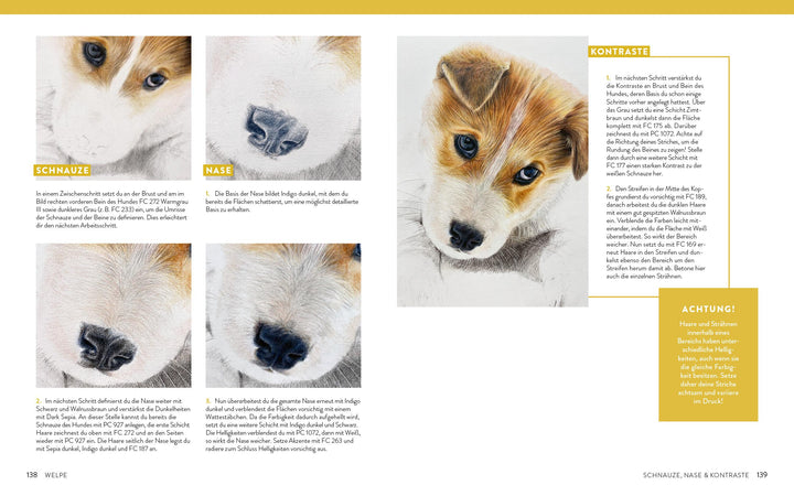 Zeichnen - Das große Buch der Tierporträts | Boehmer-Hoops, Susanne