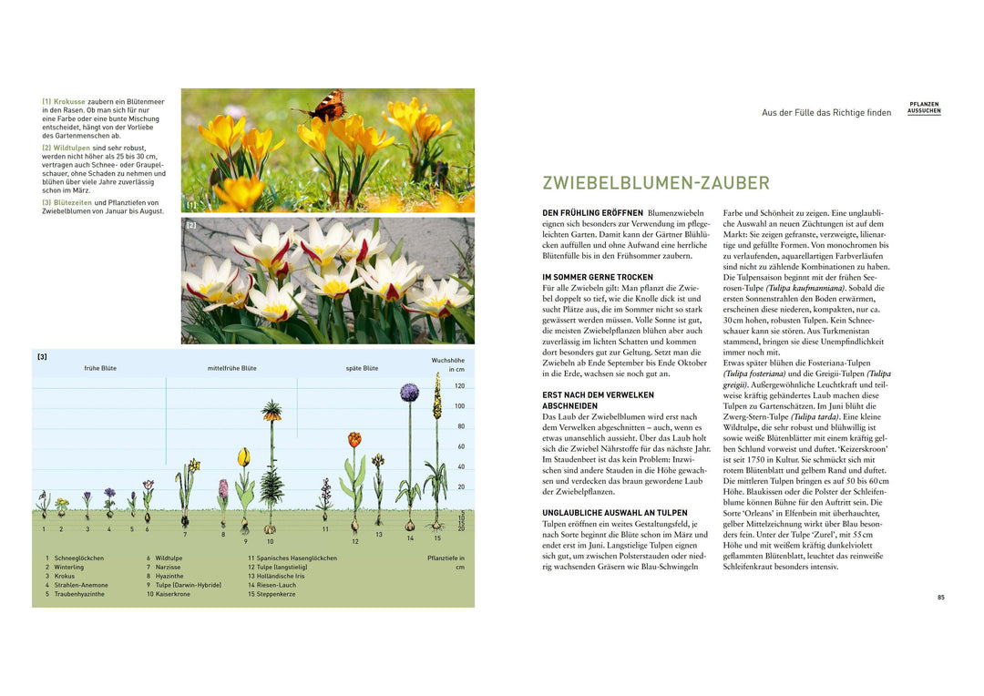 Mein schöner pflegeleichter Garten. Gewusst wie - geschickte Garten-Planung ...