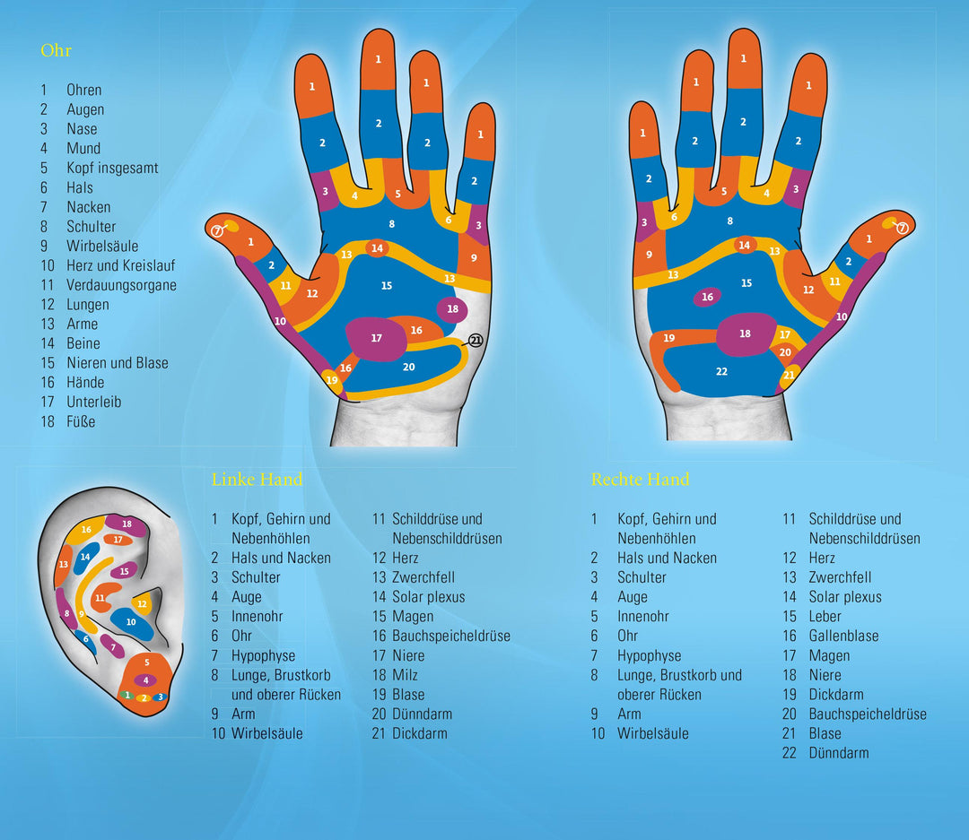 Reflexzonenmassage. Sanfte Selbstheilung von Kopf bis Fuß | Frohn, Birgit