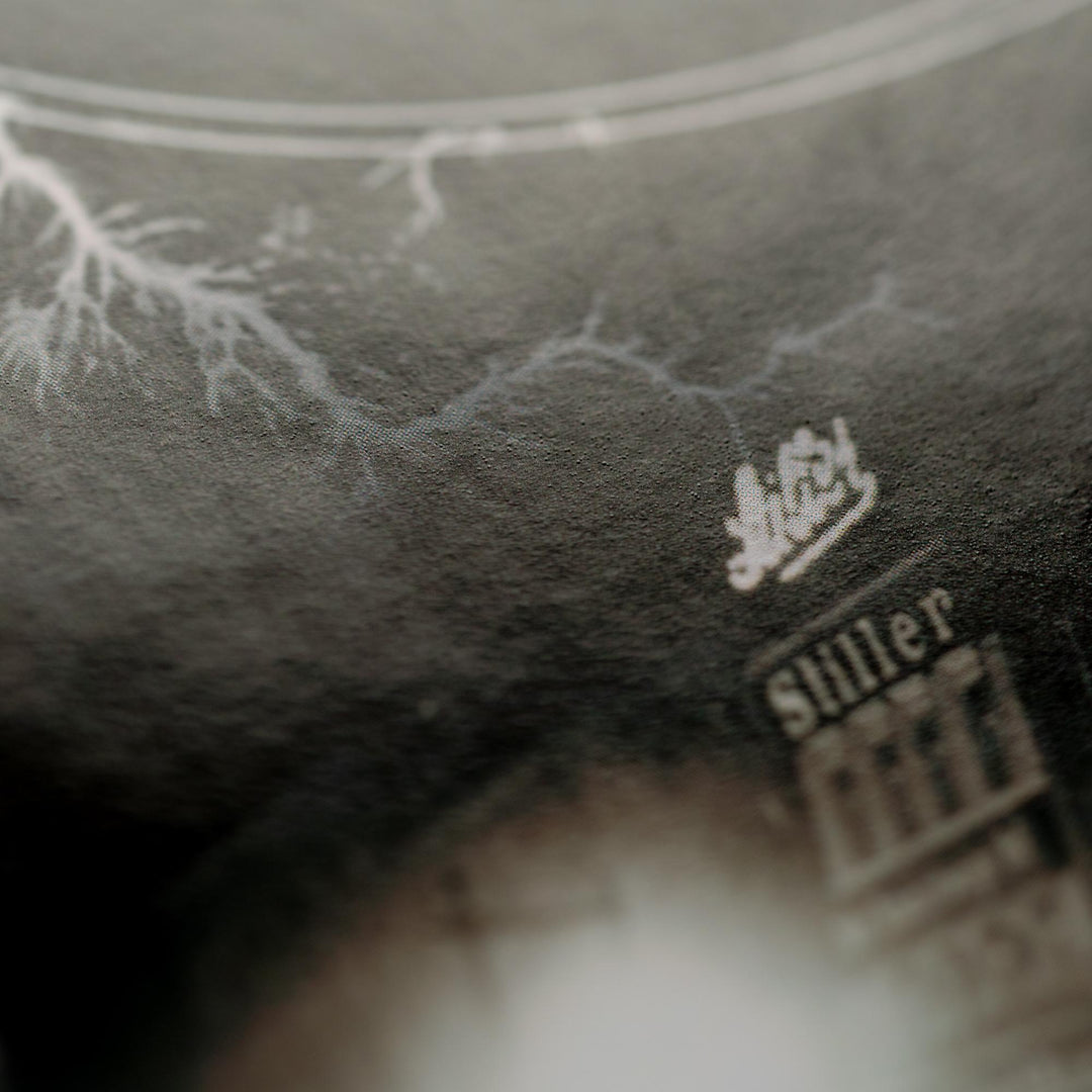 Der elektrische Traum. Fortschrittsjahre oder eine Gesellschaft unter Strom ...