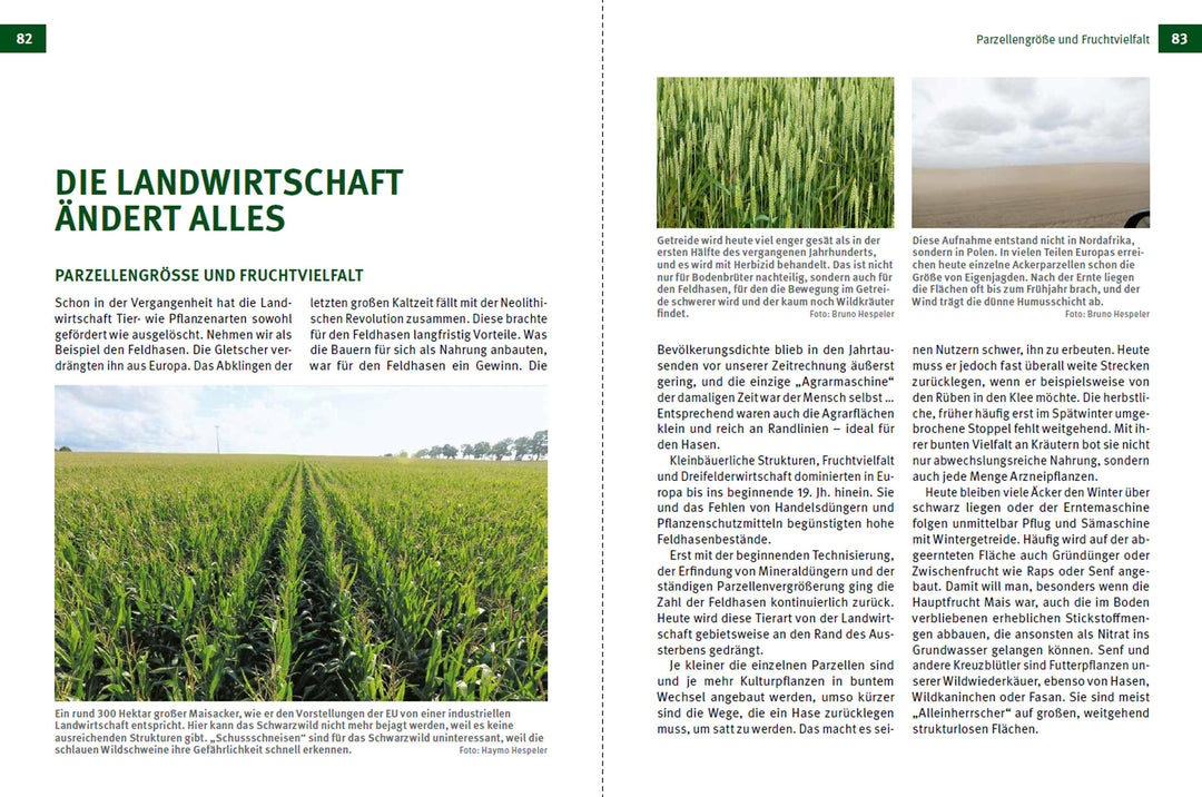 Die Jagd | Hespeler, Bruno