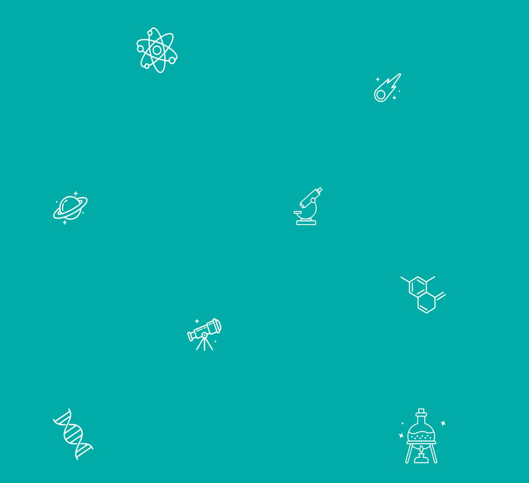 (Fast) Alles einfach erklärt | Kolorz, Niklas