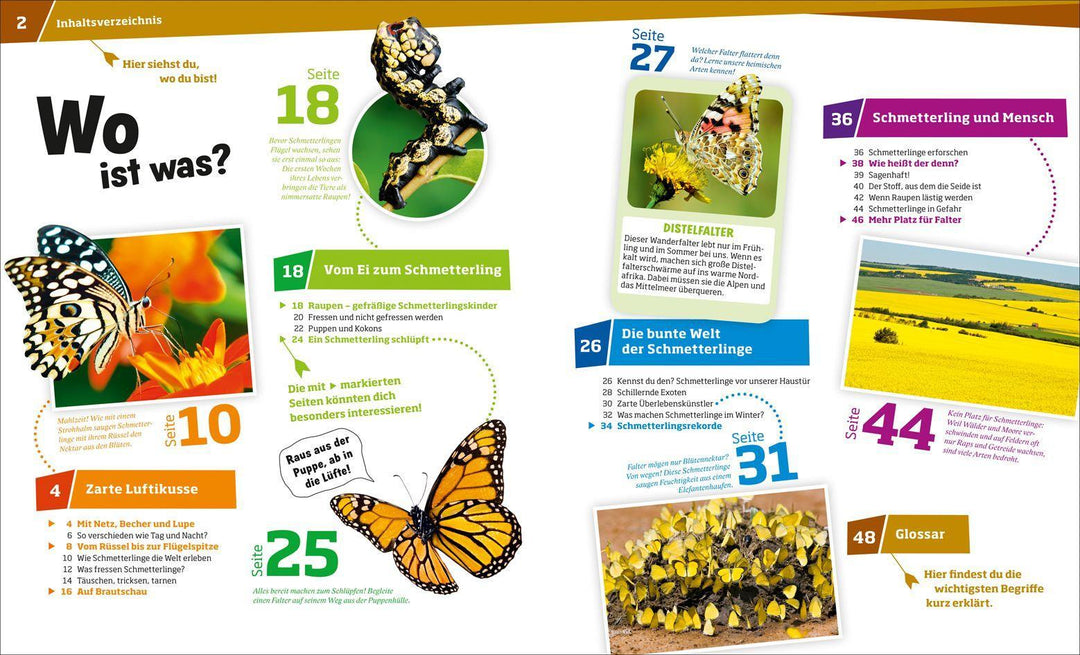 WAS IST WAS Band 43 Schmetterlinge. Zauberhaft und farbenprächtig | Röndigs,...