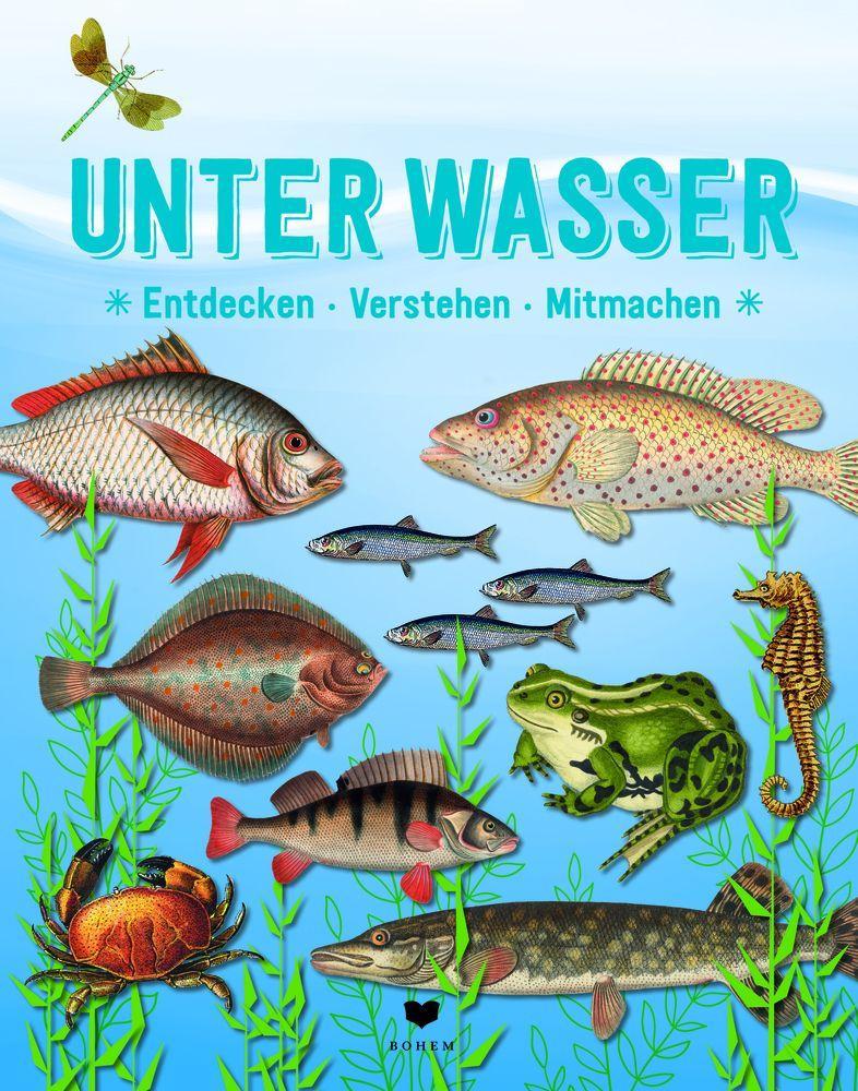 Der große Baumhauswettbewerb | Garoche, Camille