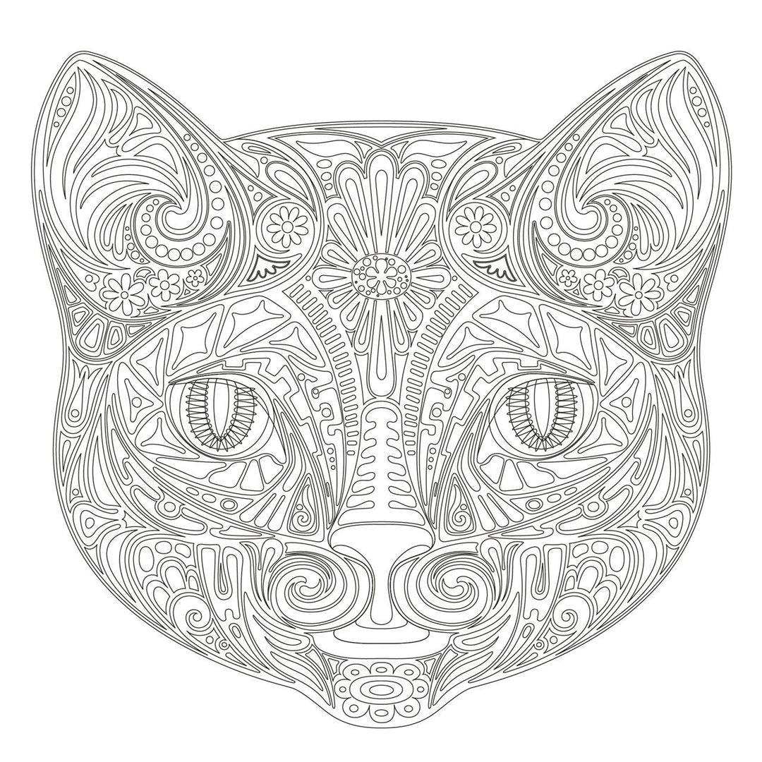 Achtsam & Kreativ. Katzen | -