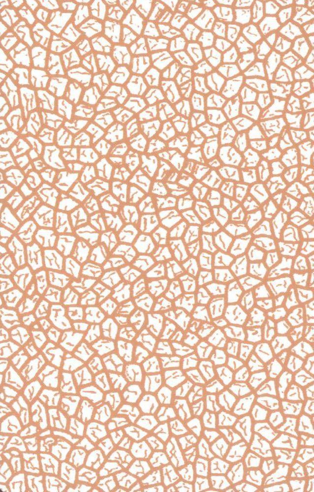 Tarot für Anfänger | Banzhaf, Hajo