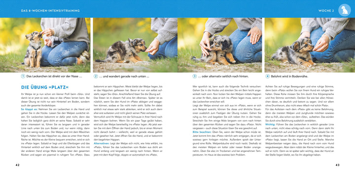 Welpen-Erziehung | Schlegl-Kofler, Katharina