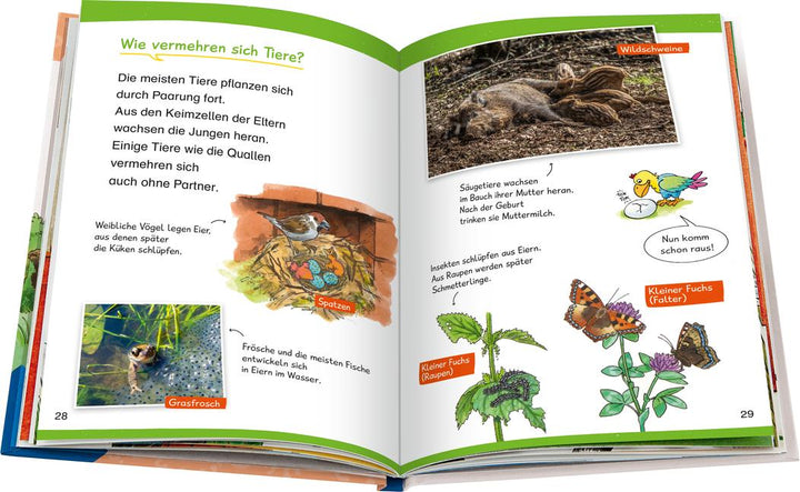 Wieso? Weshalb? Warum? Erstleser, Band 10 - In der Natur | Kessel, Carola von