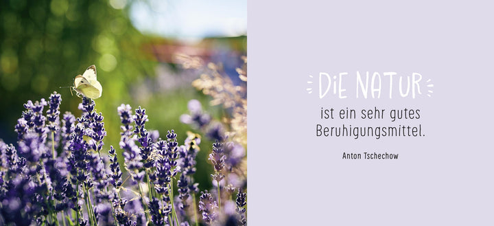 Gute Besserung | -