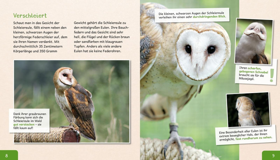 Meine große Tierbibliothek: Die Eule | Poschadel, Jens