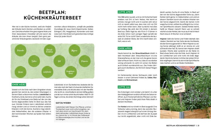 Gartenmomente: Kräuter im Garten | -