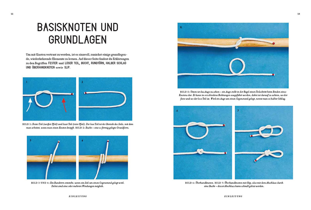 Knoten | Anagrius, Miki