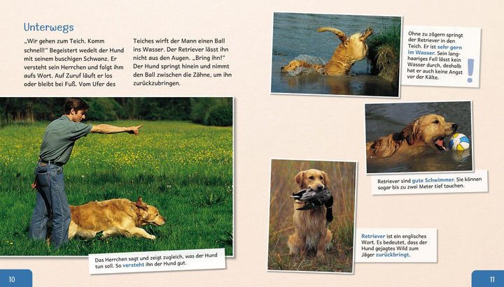 Meine große Tierbibliothek: Der Hund | Tracqui, Valérie