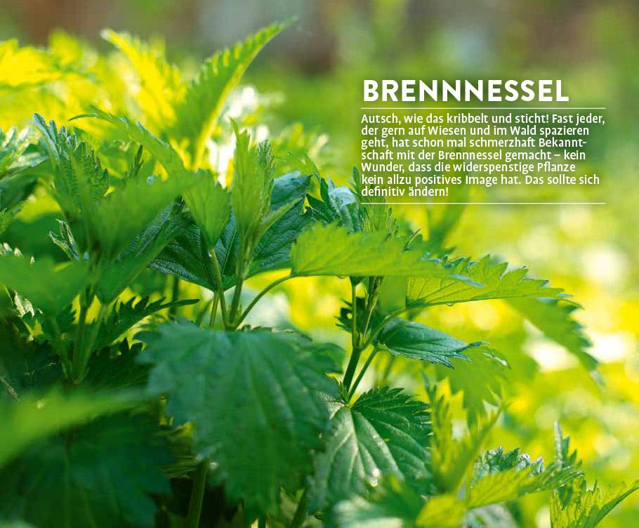 Megalästig - megalecker - megagesund | Hissel, Janine