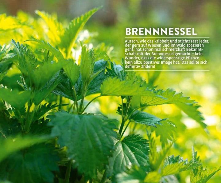 Megalästig - megalecker - megagesund | Hissel, Janine