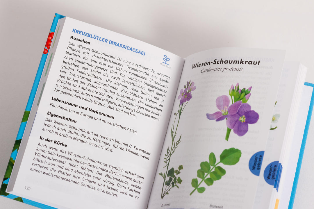 Anaconda Taschenführer Essbare Wildpflanzen. 70 Arten bestimmen und entdecke...