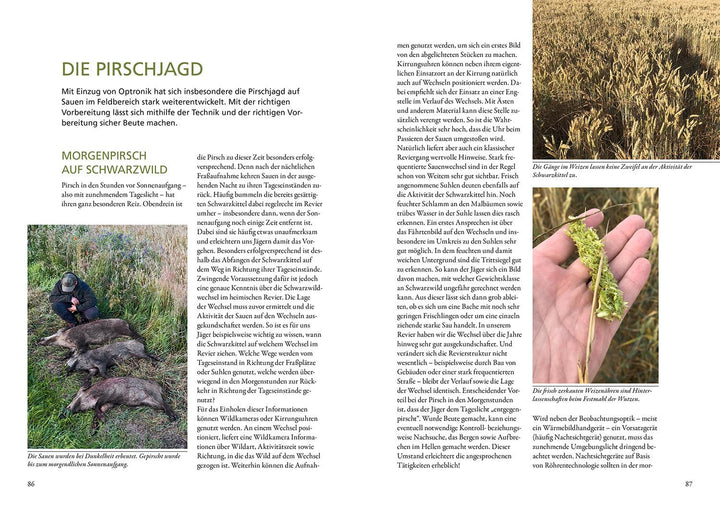 Nachtjagd auf Sauen | Gast, Michael | Balke, Martin Norbert